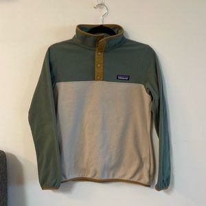 Patagonia Micro D Snap-T Fleece Pullover